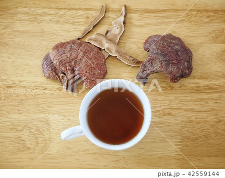 Ganoderma lucidum tea - Ling zhi mushroom Ganoderma lucidum tea - Ling zhi mushroom 42559144