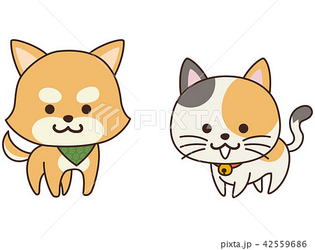 お利口なペットの犬と猫 42559686