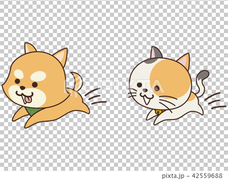 Running pet dog and cat 42559688