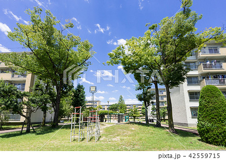 団地と公園  （岩倉団地） 42559715