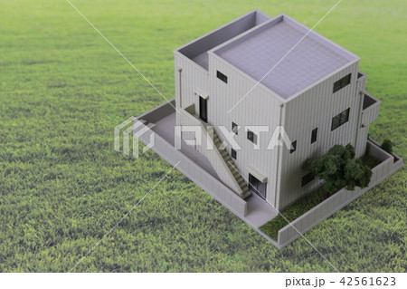 建物 裏口階段 42561623