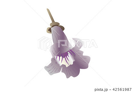 都道府県の花シンプル岩手キリ 都道府県の花シンプル岩手キリ 42561987