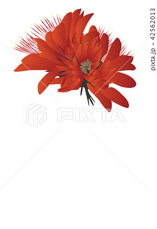都道府県の花シンプル沖縄デイゴ 42562013