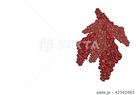 都道府県の花シンプル高知ヤマモモのイラスト素材