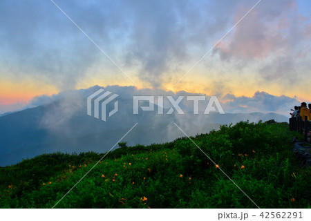 日の出 バンヤボン 42562291