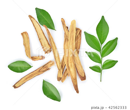 Topview of Slice Licorice rootson white background 42562333