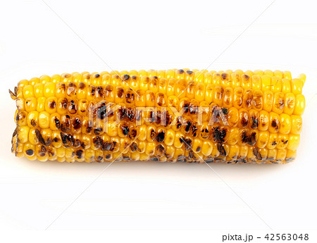 corn grilled on a white background 42563048