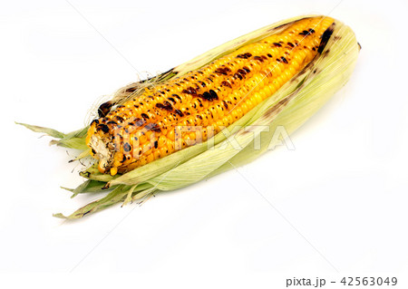 corn grilled on a white background corn grilled on a white background 42563049