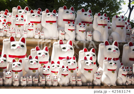 招き猫 42563174