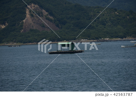 徳島鳴門のウチノ海の屋形イカダ 42563787