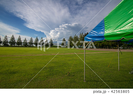 総合グラウンド　運動場　テント会場　　　 42563805