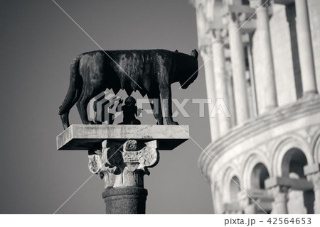 Leaning tower Capitoline wolf in Pisa 42564653