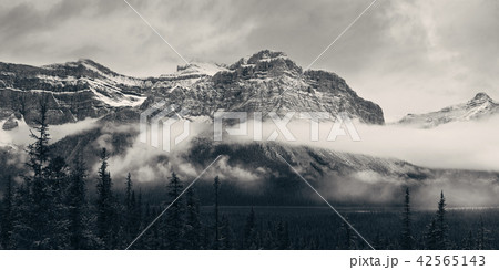 Bow Lake Bow Lake 42565143