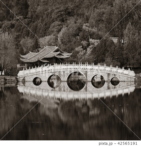 Black Dragon pool 42565191