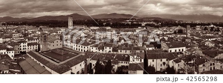 Lucca skyline tower panorama 42565298