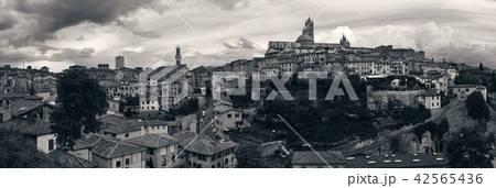 Siena panorama 42565436