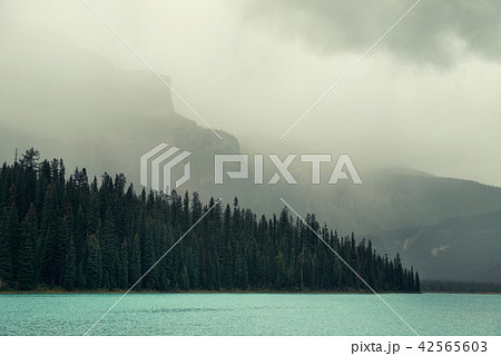 Emerald lake 42565603