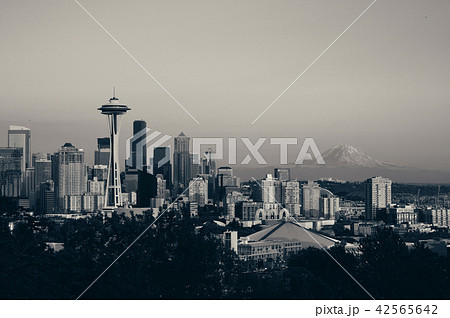 Seattle city skyline 42565642