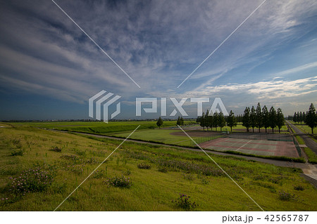 総合グラウンド　運動場　東京方面　　　 42565787