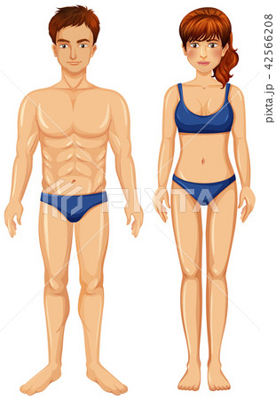 Blank figure of male and female 42566208