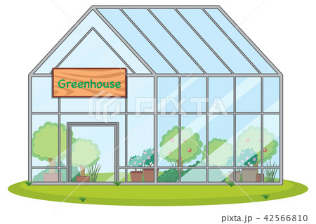 large greenhouse with plants 42566810