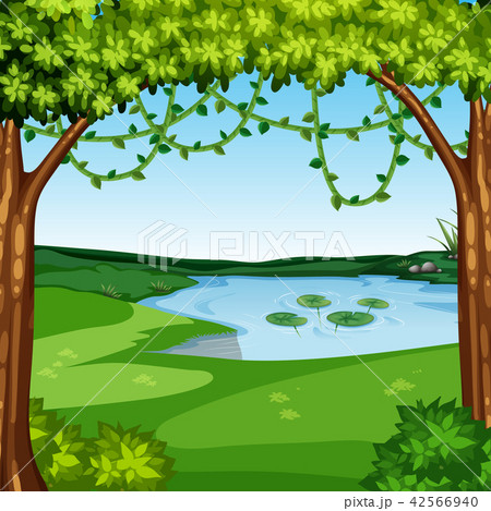 A beautiful jungle landscape A beautiful jungle landscape 42566940