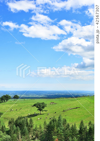 青空のナイタイ高原牧場の写真素材