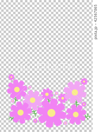 Cosmos frame material 42567865