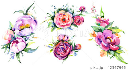 Watercolor bouquet pink peony flowes. Floral botanical flower. Isolated illustration element. Watercolor bouquet pink peony flowes. Floral botanical flower. Isolated illustration element. 42567946