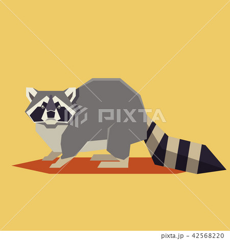 Flat geometric Raccoon 42568220