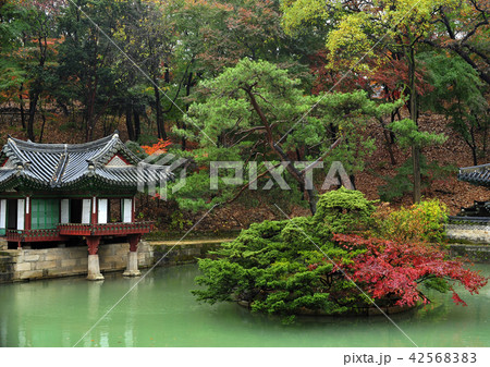 芙蓉亭 ガーデン 庭園 42568383