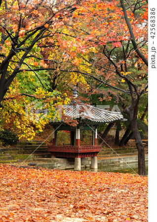 芙蓉亭 ガーデン 庭園 42568386