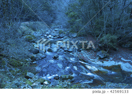 冬の渓谷イメージ　赤西渓谷　（兵庫県宍粟市） 42569133