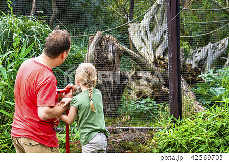 Father explaining daughter monkeys in the zoo 42569705