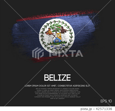 Belize Flag Made of Glitter Sparkle Brush Paint 42571336
