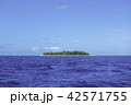 孤島 42571755