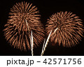 花火 42571756