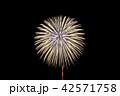花火 42571758