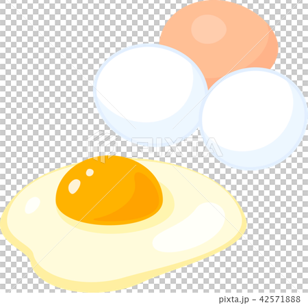 生雞蛋 生雞蛋 42571888