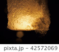 灯 42572069