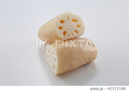 れんこん 42572190