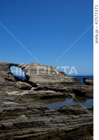 海岸の風景・城ヶ島 42572371