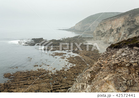 Summer Atlantic rocky coast view Summer Atlantic rocky coast view 42572441