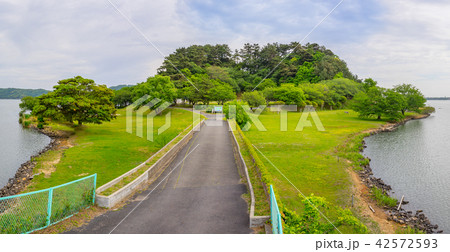 山陰海岸ジオパーク、湖山池公園（青島公園）（鳥取県鳥取市桂見）※作品コメント欄に撮影位置あり 42572593