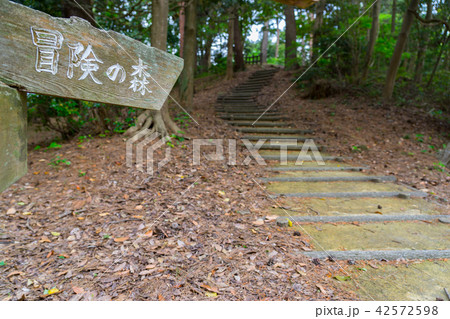 山陰海岸ジオパーク、湖山池公園（青島公園）（鳥取県鳥取市桂見）※作品コメント欄に撮影位置あり 42572598