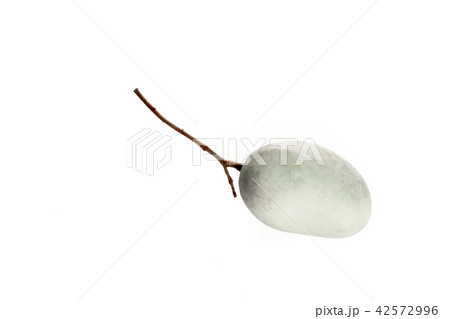 Single Gray mango on white background Single Gray mango on white background 42572996
