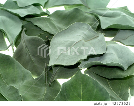 Dry leaves of Vitex trifolia 42573625