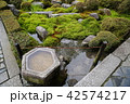 苔のある風景335 42574217