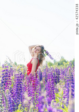 Girl with a flower on a field of lupines Girl with a flower on a field of lupines 42574338