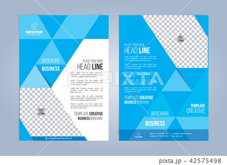 Blue and White Business Brochure. 42575498